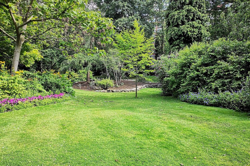 Our professional Lawn Aeration service helps improve soil compaction and allows for better water absorption, promoting healthier grass growth and a more vibrant lawn throughout the year. for Isaias Velasquez Landscaping and Services in Richmond, VA