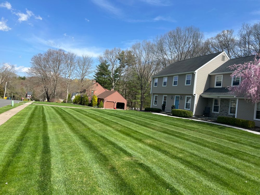 All Photos for Dibs Landscaping LLC in Cheshire, CT