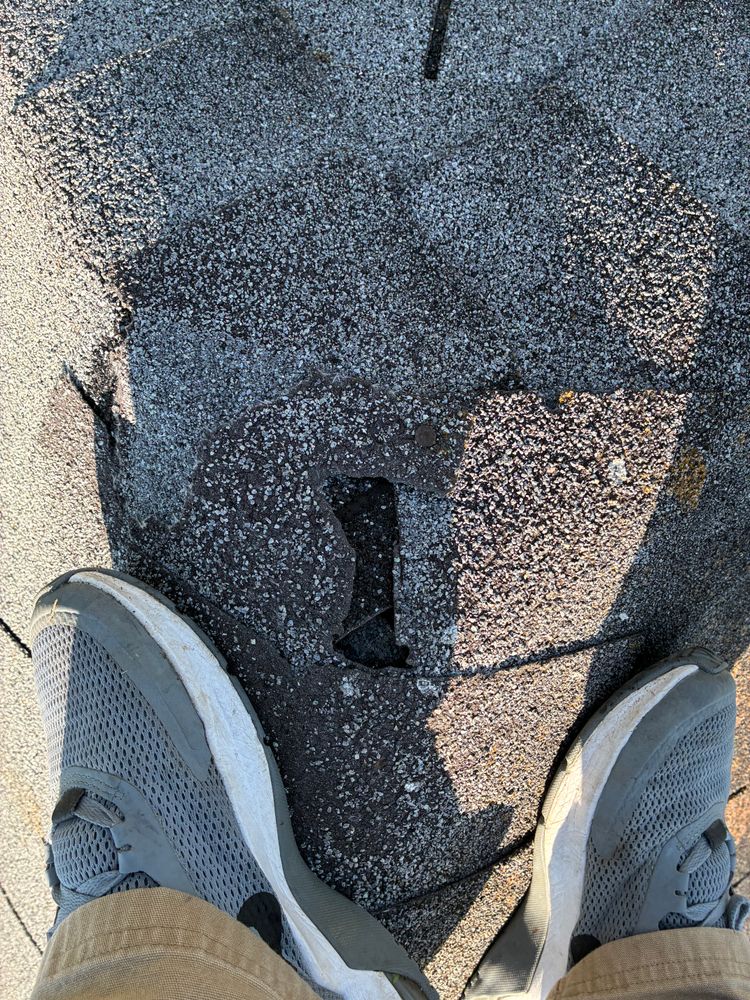 All Photos for Precious Roofing in Madeira, OH