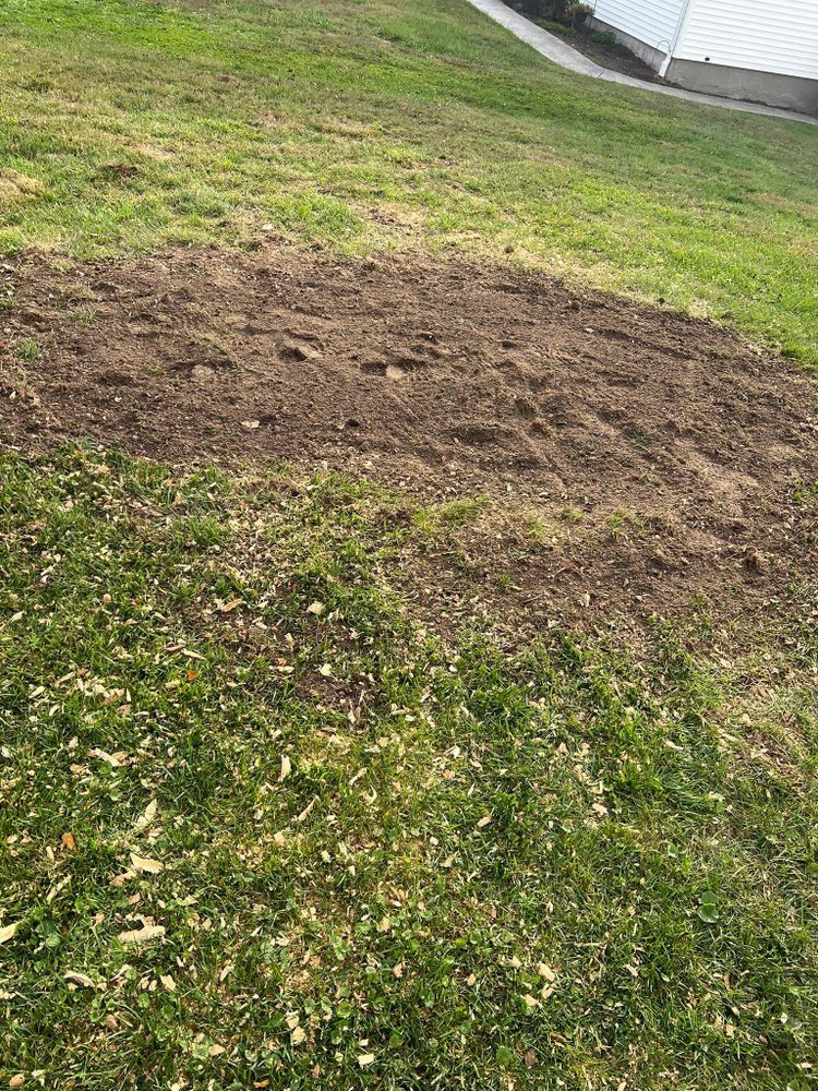 All Photos for Lopez Landscaping and Hardscapes in Scranton, PA