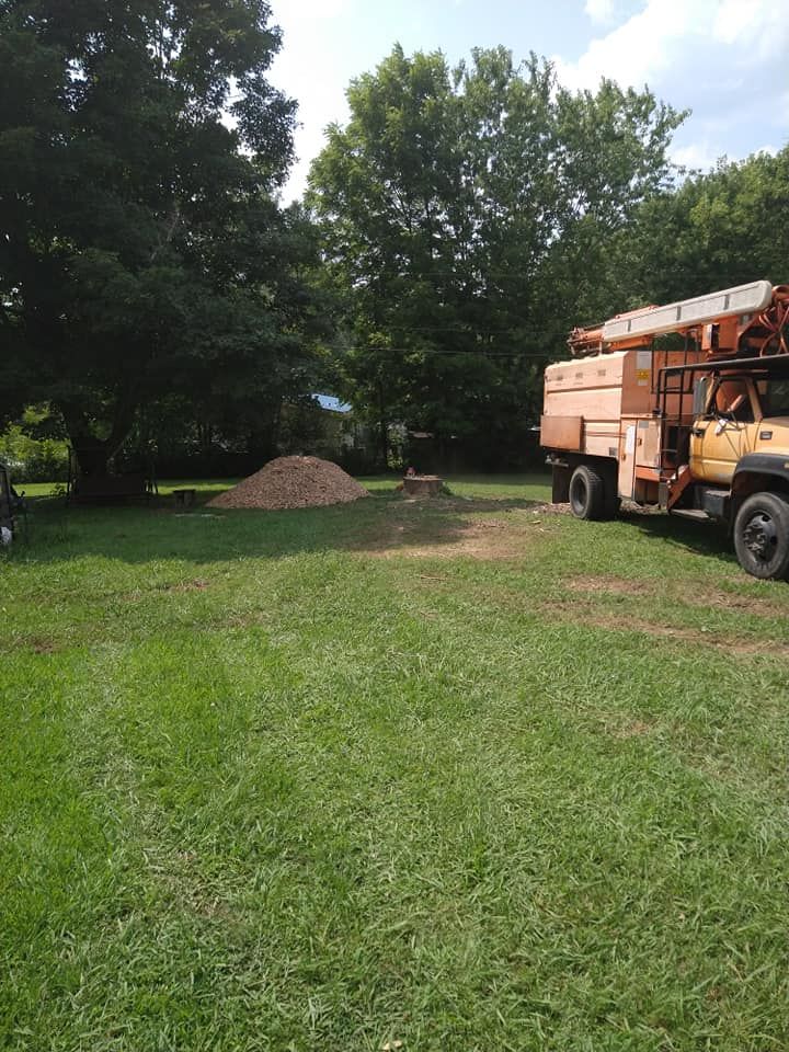 Tree Removal for Scott's Tree Service in Athens, TN