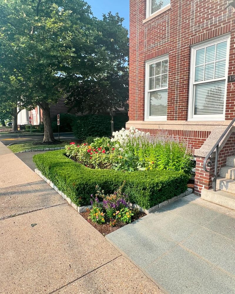 All Photos for G & T Development in New Canaan, CT