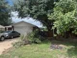 All Photos for Oviedo Land & Garden in Bastrop, TX