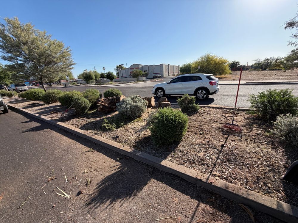 All Photos for Grand Canyon State Landscape Inc. in Surprise, AZ