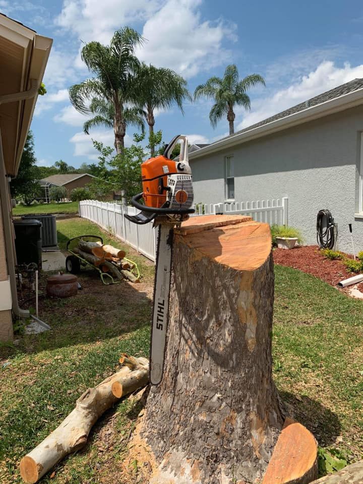 Our professional tree removal service ensures safe, efficient removal of unwanted trees from your property, enhancing safety and aesthetics while protecting surrounding landscape features. Trust us for expert care and precision. for Ryker's Tree Service in Dunedin, FL