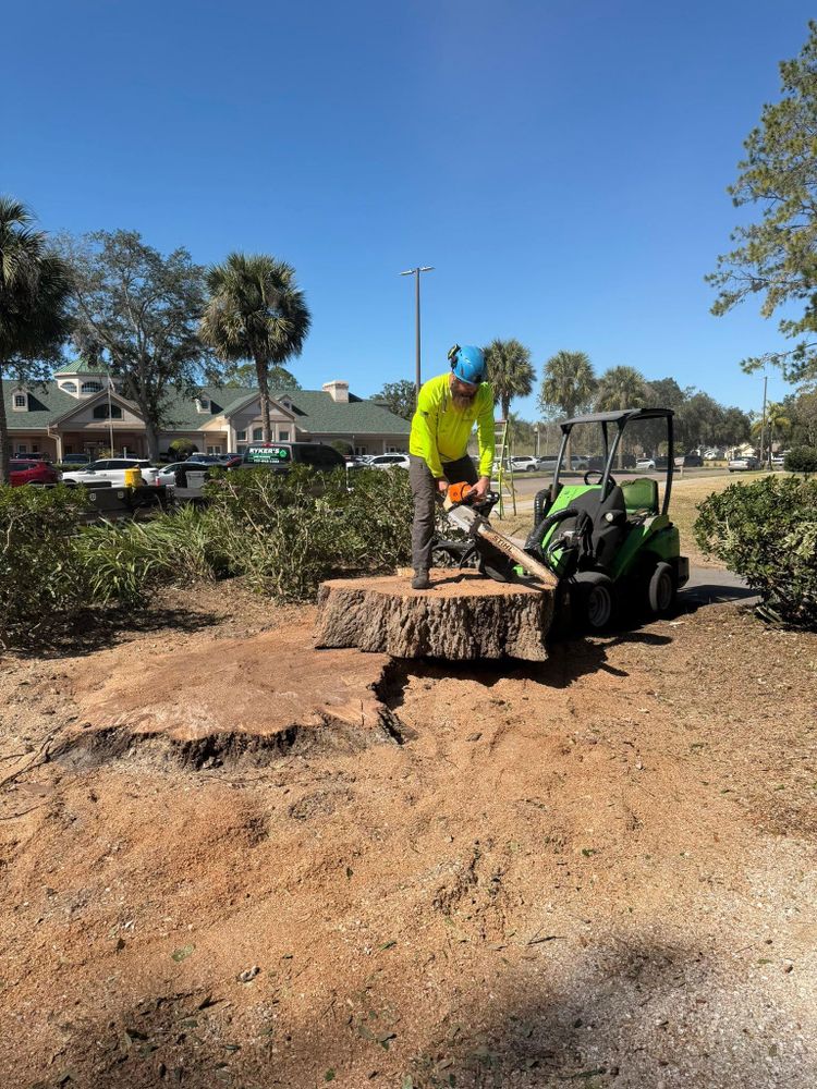 All Photos for Ryker's Tree Service in Dunedin, FL
