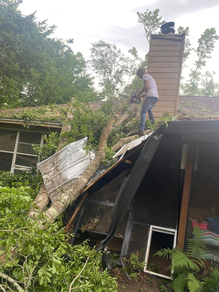 All Photos for Tates Tree Service in Tallahassee, FL