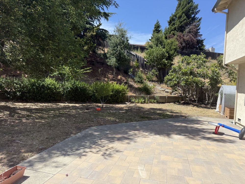 All Photos for CBA Landscaping in Hayward, CA