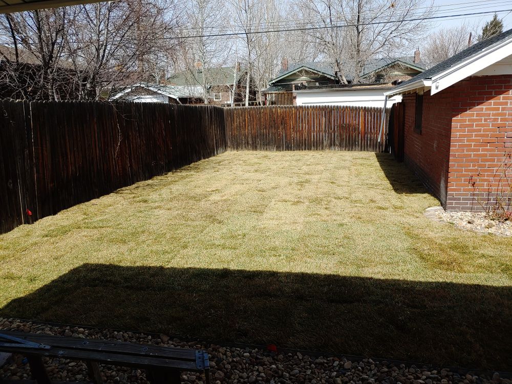 Lawn Care for NGL Landscape Company in Denver, CO