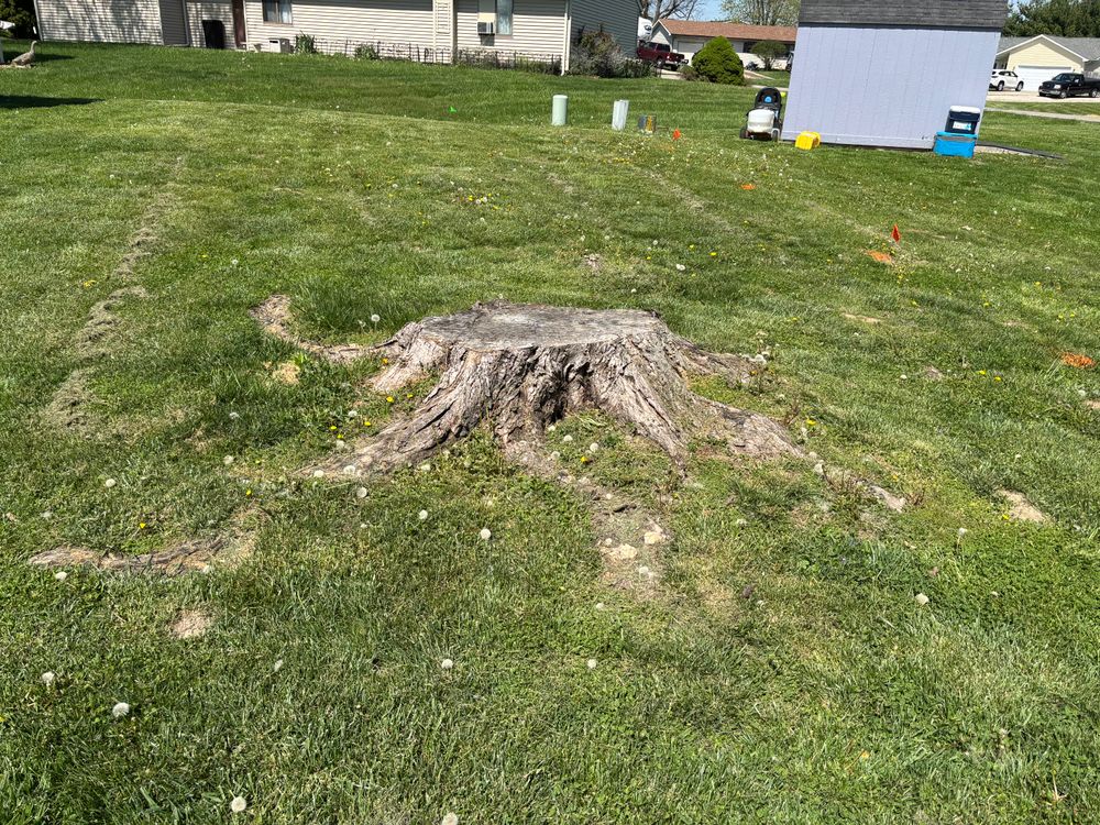 All Photos for Conrad's Stump Removal in Columbus, IN