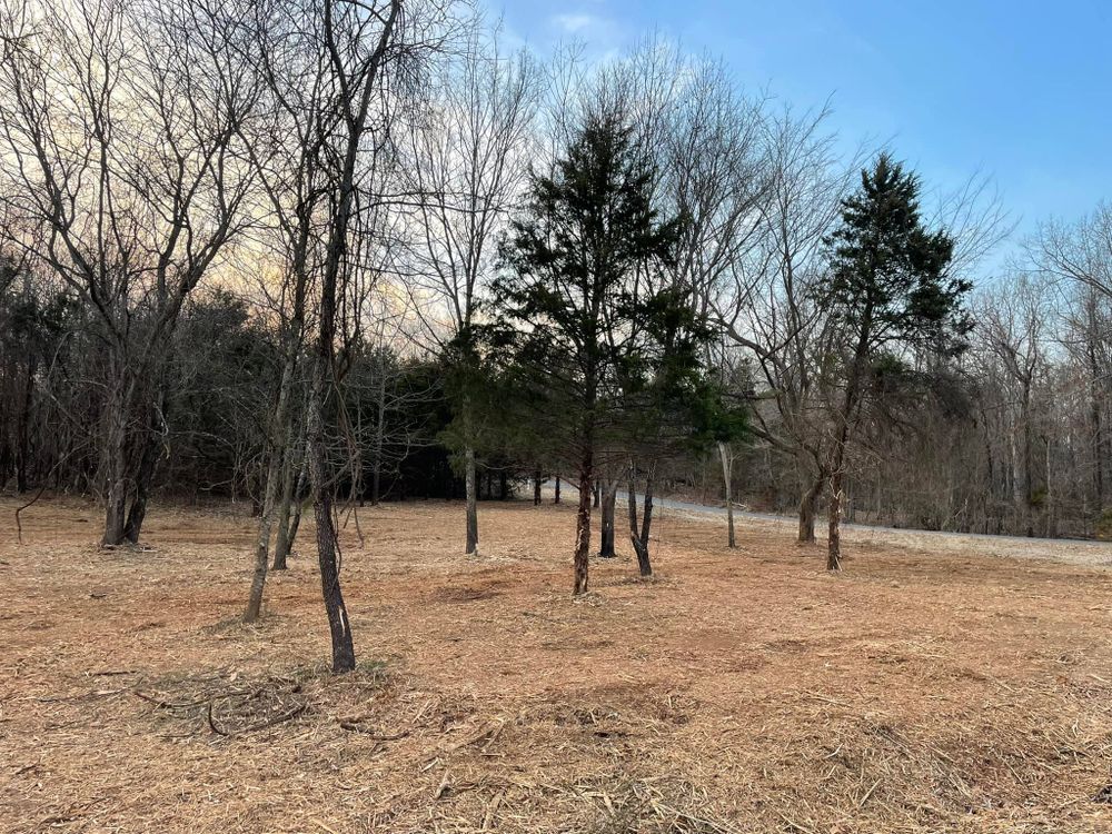 Pasture Reclamation for Bass Land Management in Yellville, AR