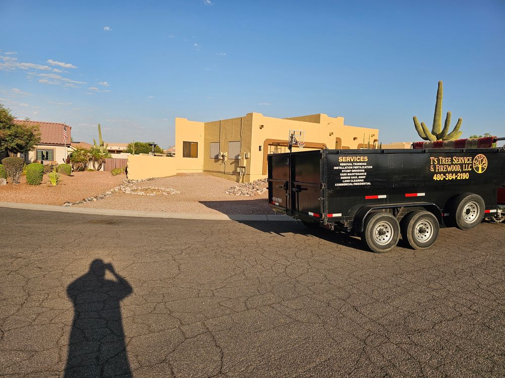 All Photos for T's Tree Service and Firewood in Apache Junction, AZ