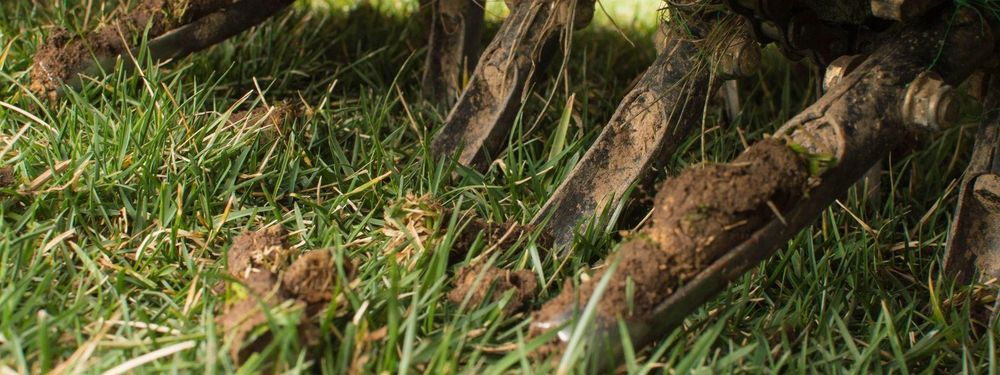 All Photos for Silburn Lawn & Landscape in Odenton, MD