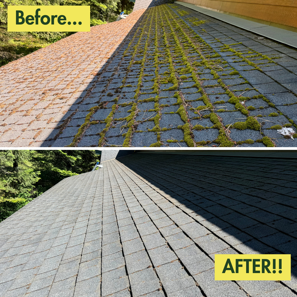 Our Moss Removal service effectively eliminates moss growth from your roof and exterior surfaces, restoring the aesthetic appeal of your home while preventing potential damage to the property. for Swift Serve in Coeur d'Alene, ID