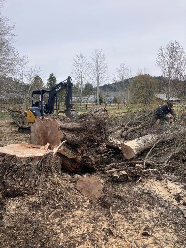 Tree Trimming and Removal for Summit Tree Care LLC in Fort Wayne, IN