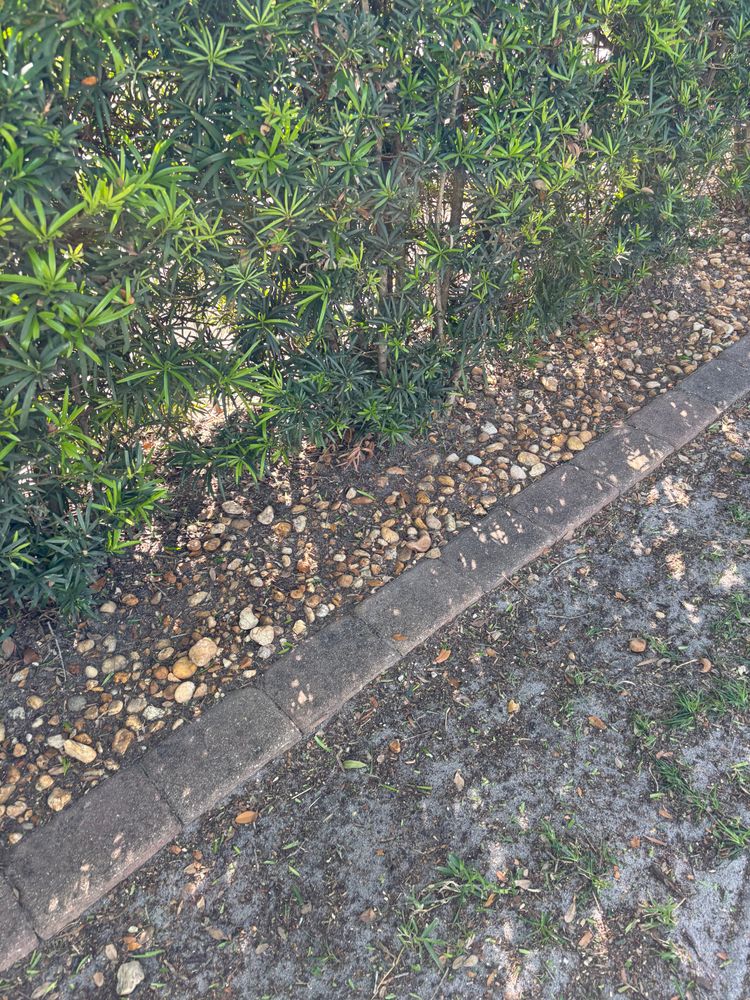 All Photos for Space Coast Property Maintenance and Management LLC in Melbourne, FL