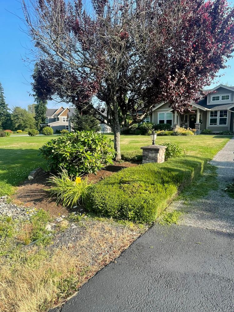 All Photos for B.U Landscaping in Everett, WA