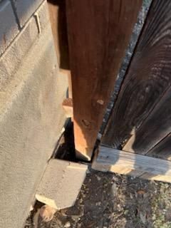 All Photos for Ansley Staining and Exterior Works in New Braunfels, TX