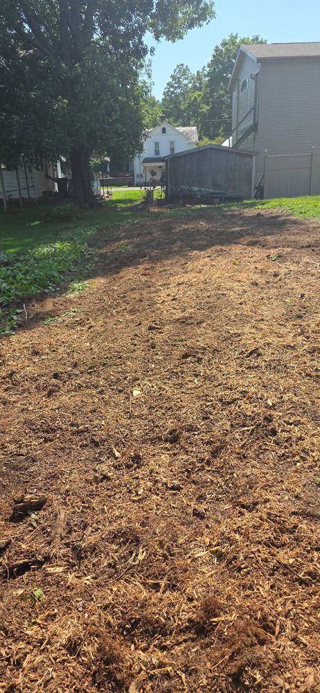 Tree Removal for I and R Stump Grinding in Thornville, OH