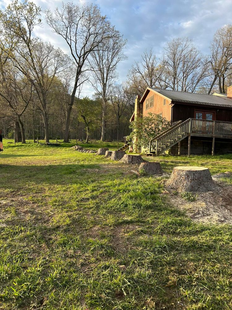 All Photos for NRV Tree Pro, LLC in Narrows, VA