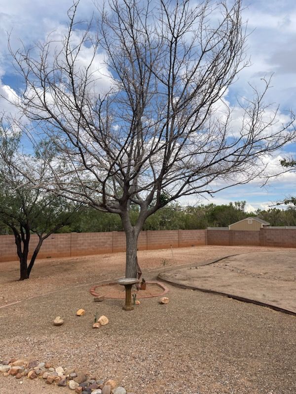 All Photos for A to Z Grounds Keeping in Sierra Vista, AZ