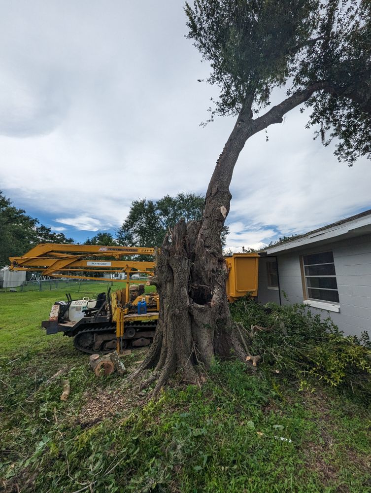 All Photos for Regal Tree Service and Stump Grinding in Wauchula, FL