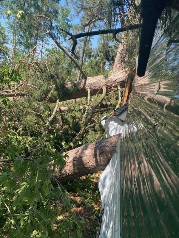 All Photos for Dan's Tree Service LLC in Bemidji, MN