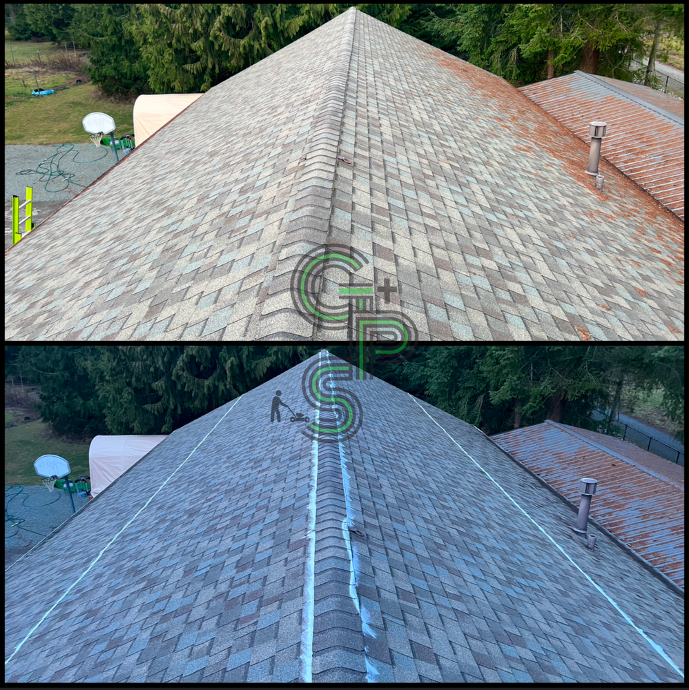 Roof and Gutter Cleaning for Golovin Property Services LLC in Marysville, WA