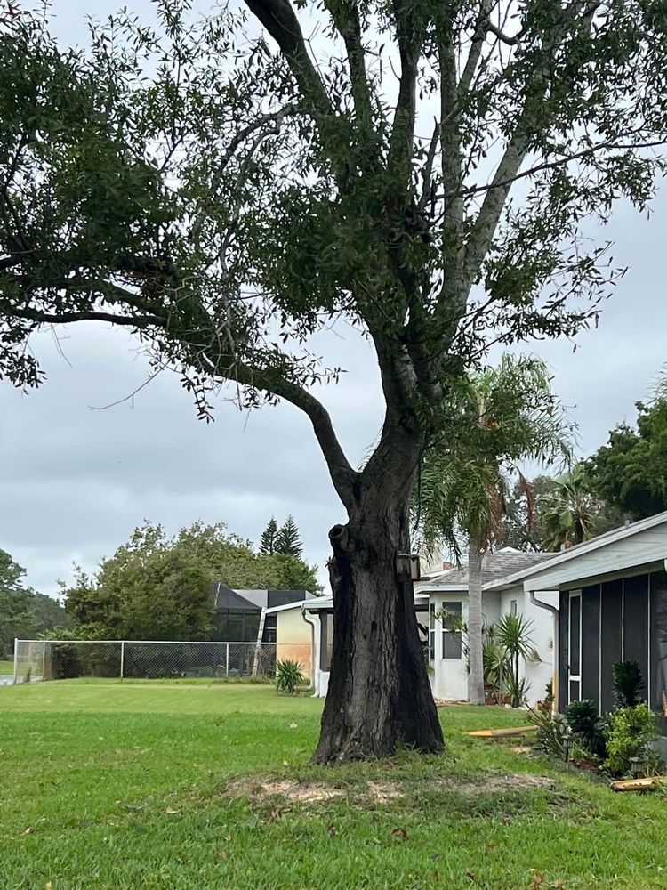 All Photos for Space Coast Property Maintenance and Management LLC in Melbourne, FL