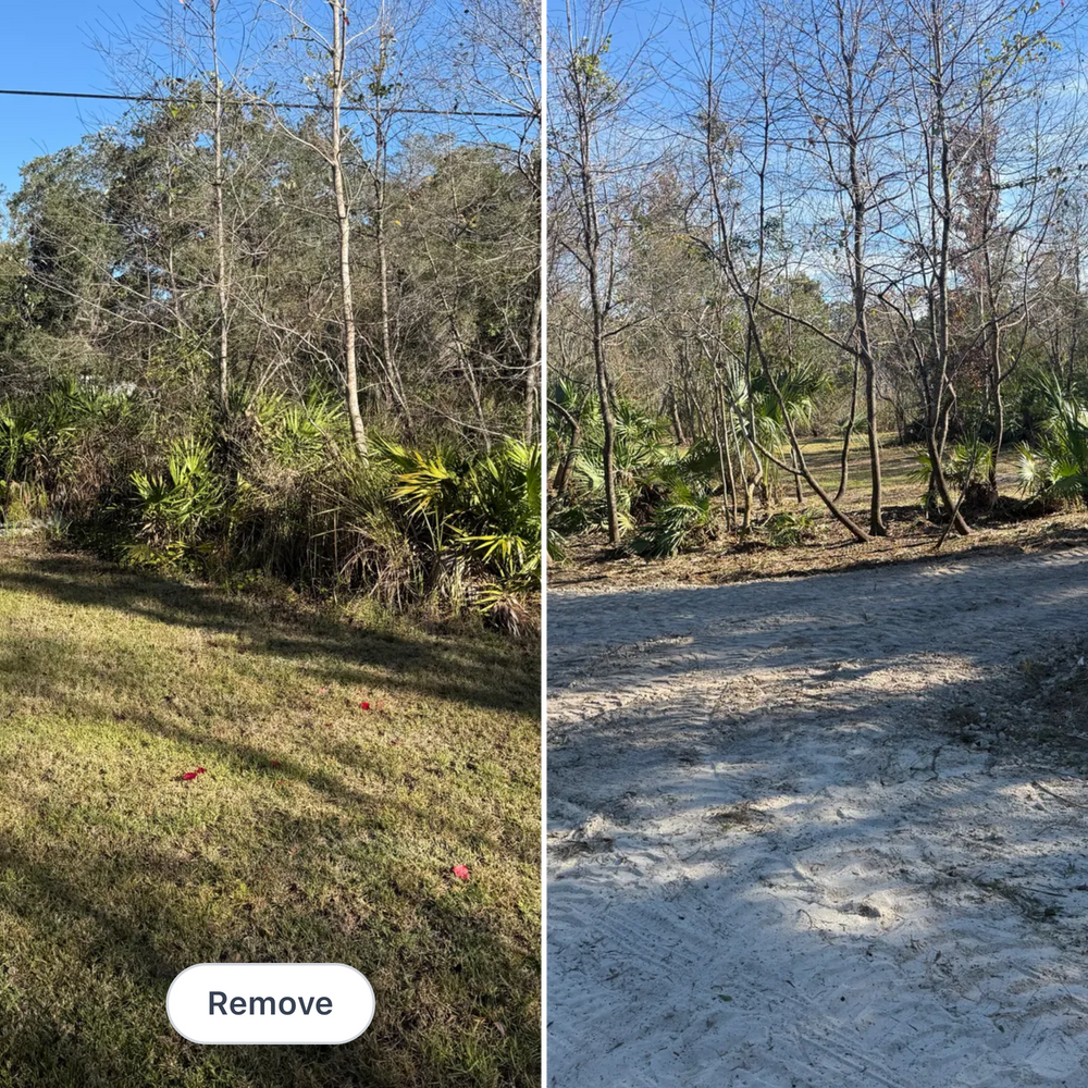 All Photos for Amerigrown Tree And Lawn in Apopka, FL