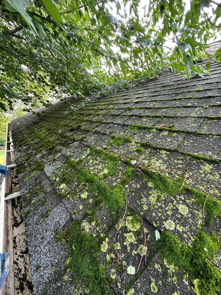 All Photos for Suter & Sons Painting in Amherst, Western Massachusetts