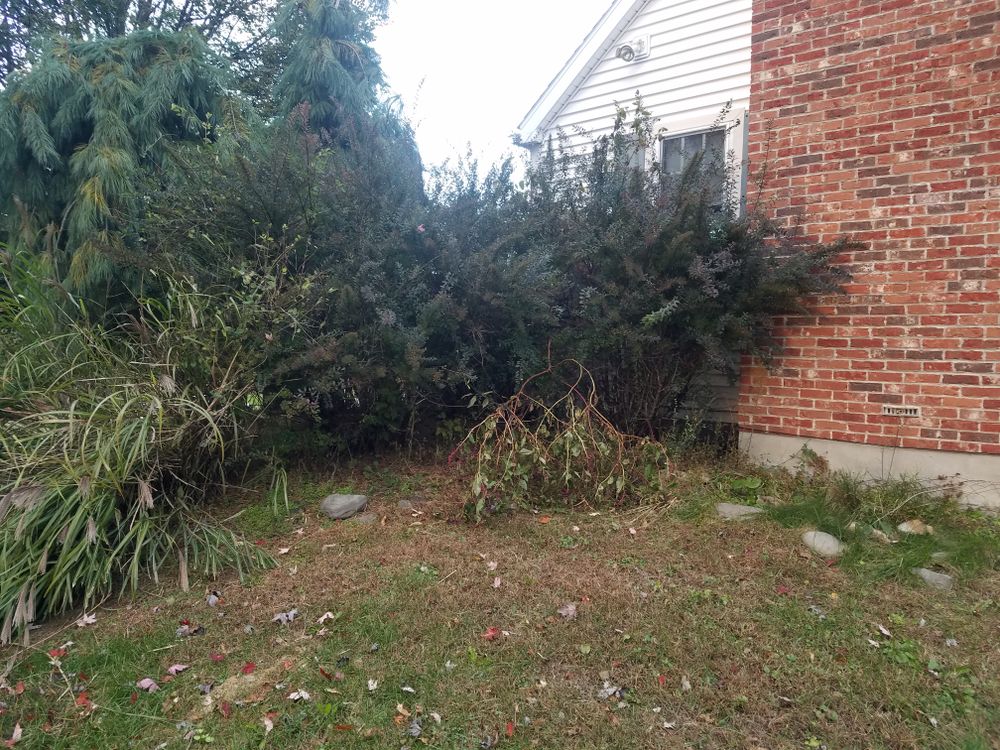 All Photos for Down Home Landscaping in Stillwater, PA