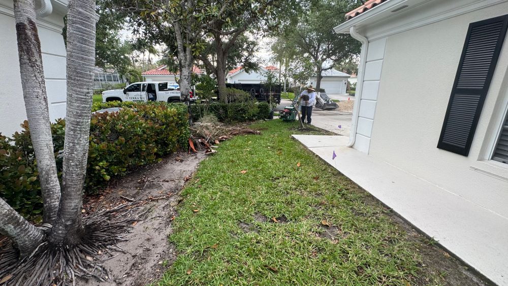All Photos for South Florida Terra Systems in Boca Raton, FL