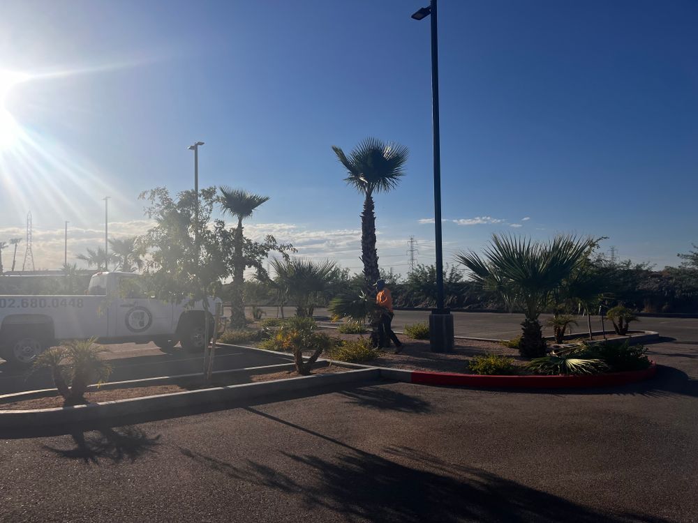 Commercial Gravel Installation for AZ Tree & Hardscape Co in Surprise, AZ