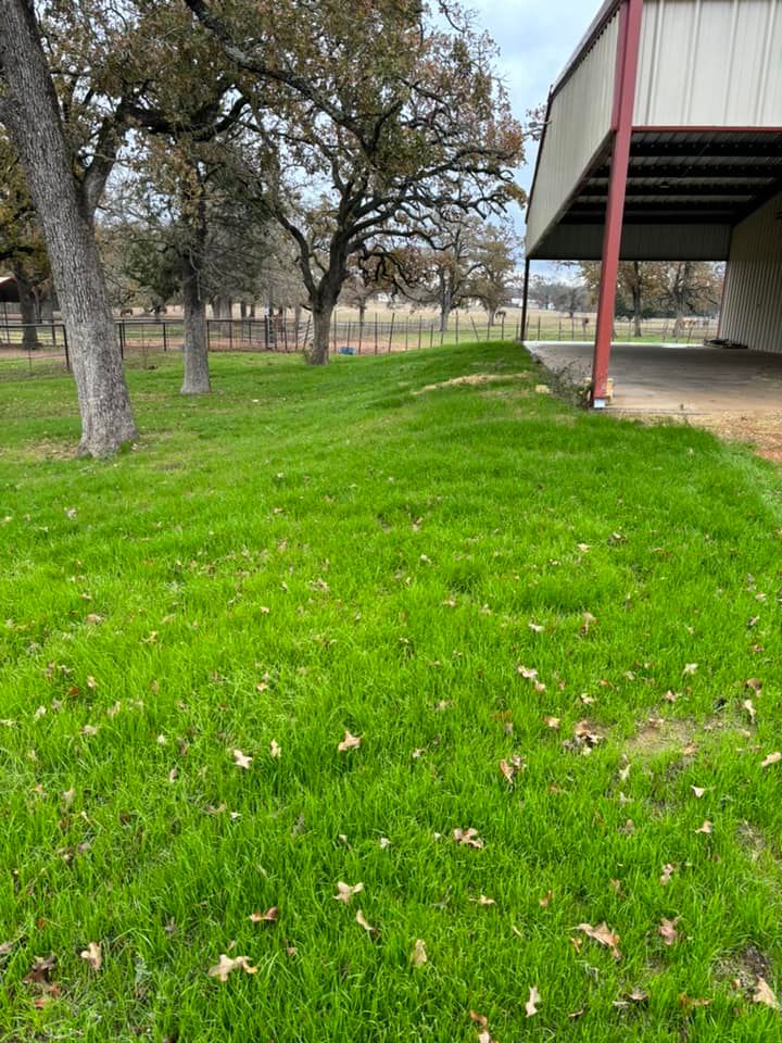 Hydroseeding for Elite Seed and Erosion LLC in McDade, TX