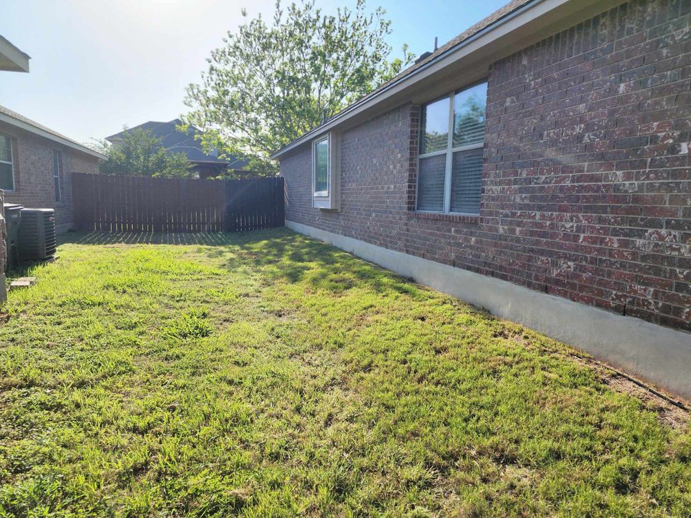 All Photos for Fresh Yards Landscaping in Austin, Texas