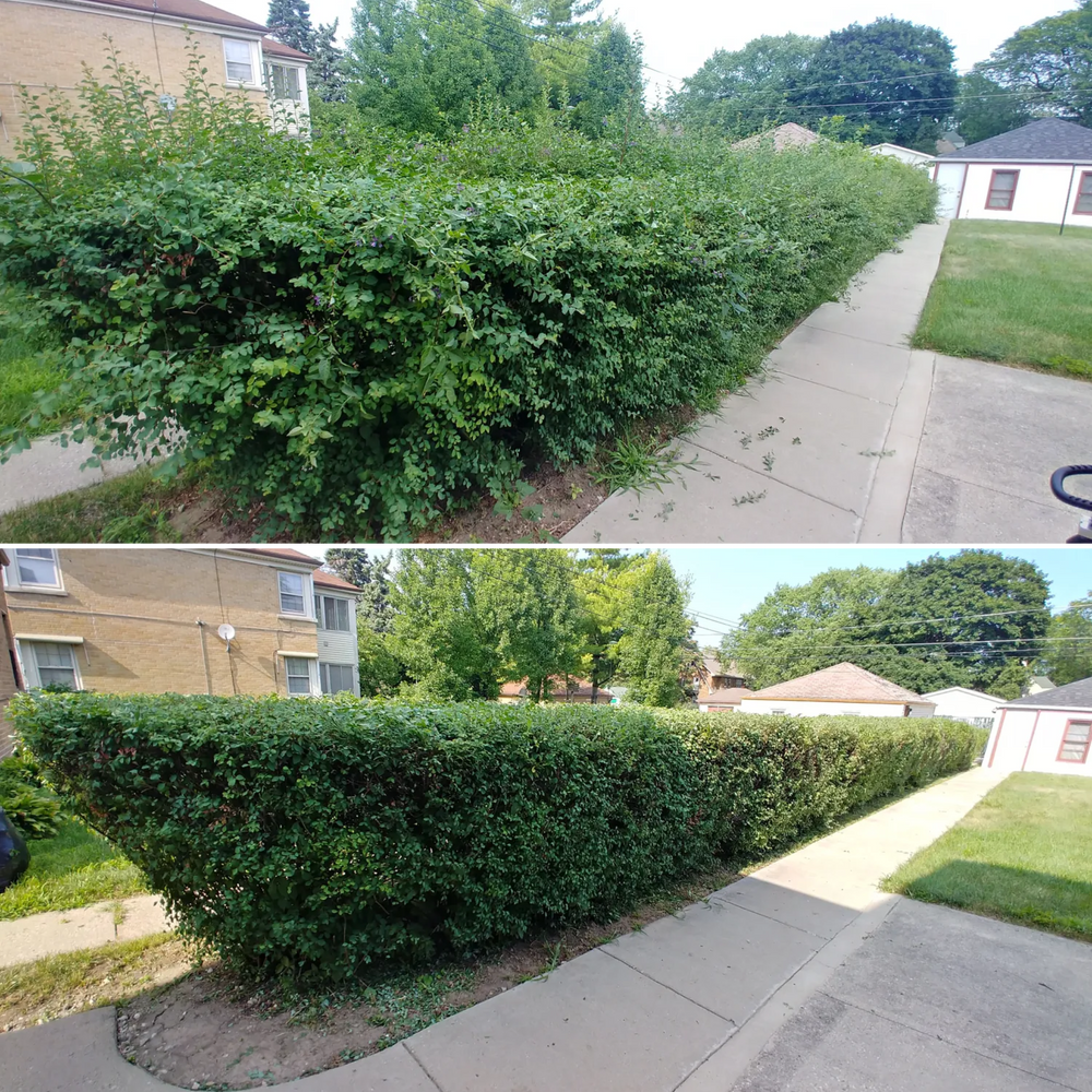 All Photos for Details Premium Lawn Care and Snow Removal in Milwaukee, WI