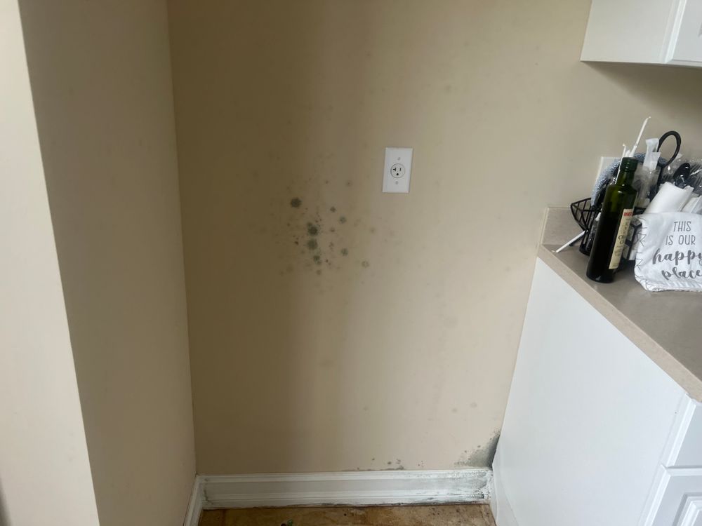 Mold Remediation for N&D Restoration Services When Disaster Attacks, We Come In in Cape Coral,  FL