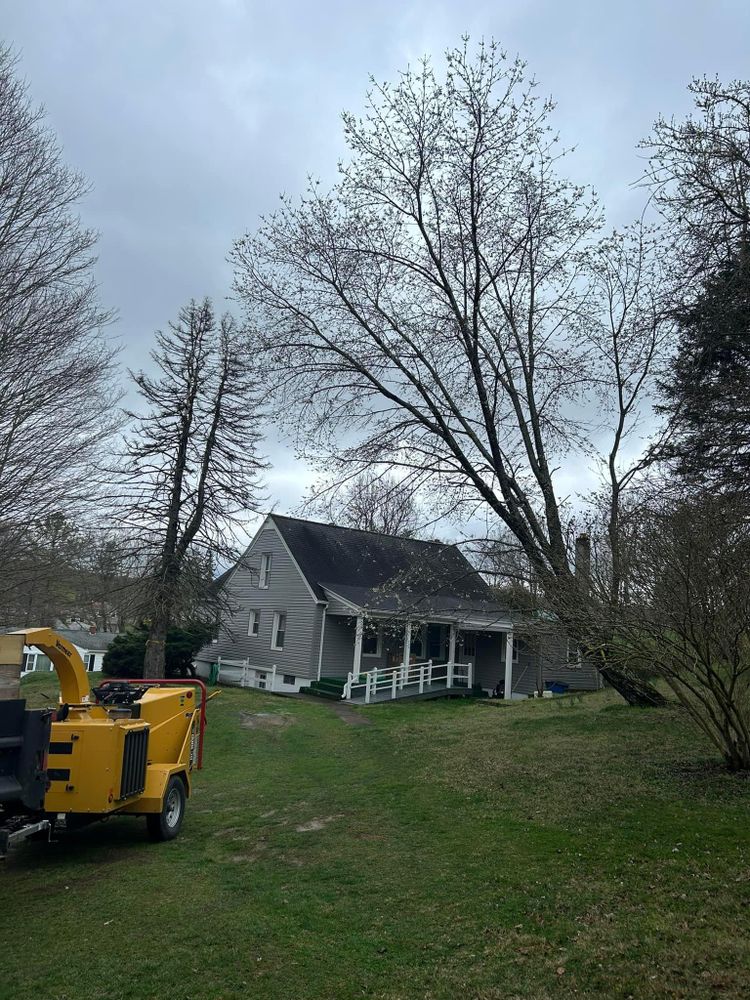 All Photos for NRV Tree Pro, LLC in Narrows, VA