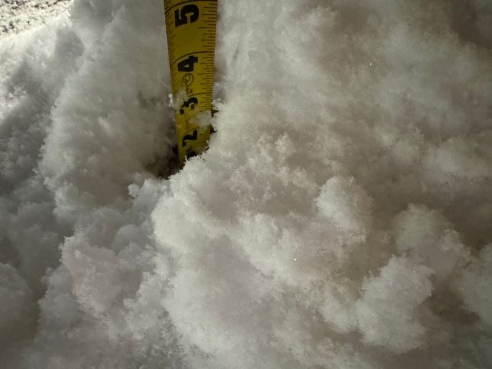 Our snow removal service ensures your driveway and walkways are cleared efficiently and promptly, allowing you to enjoy a safe and accessible property during the winter months. for Robbie's Lawn & Landscape in Chesterfield, VA