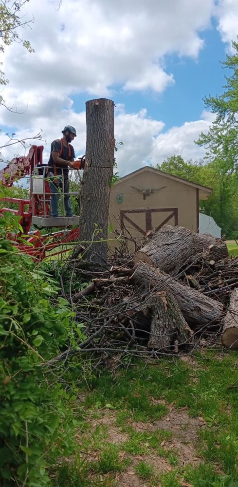 All Photos for Lawn Ranger Yard And Tree Service LLC in Ottumwa, IA