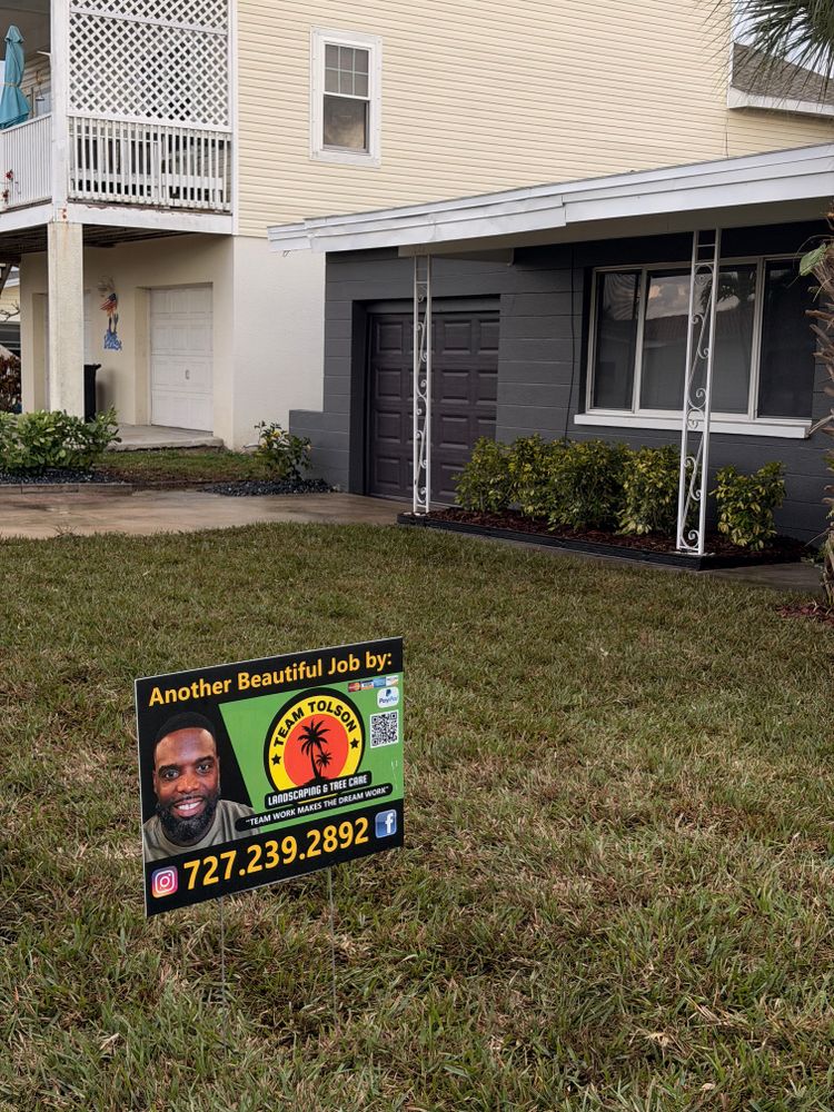 All Photos for Team Tolson Landscape in Tampa Bay, FL