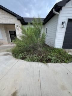 All Photos for Oviedo Land & Garden in Bastrop, TX