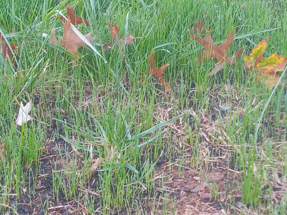 All Photos for Sam I AM Property Solutions in Sunderland, MD