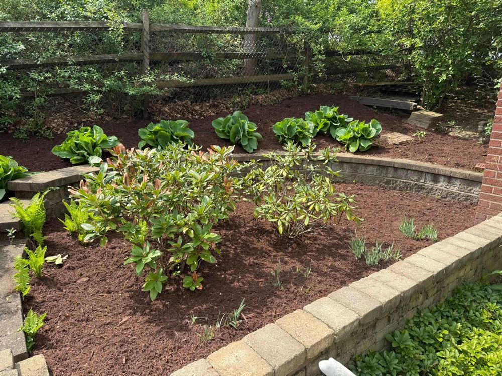 All Photos for Wilder Landscaping Services in South Park, PA