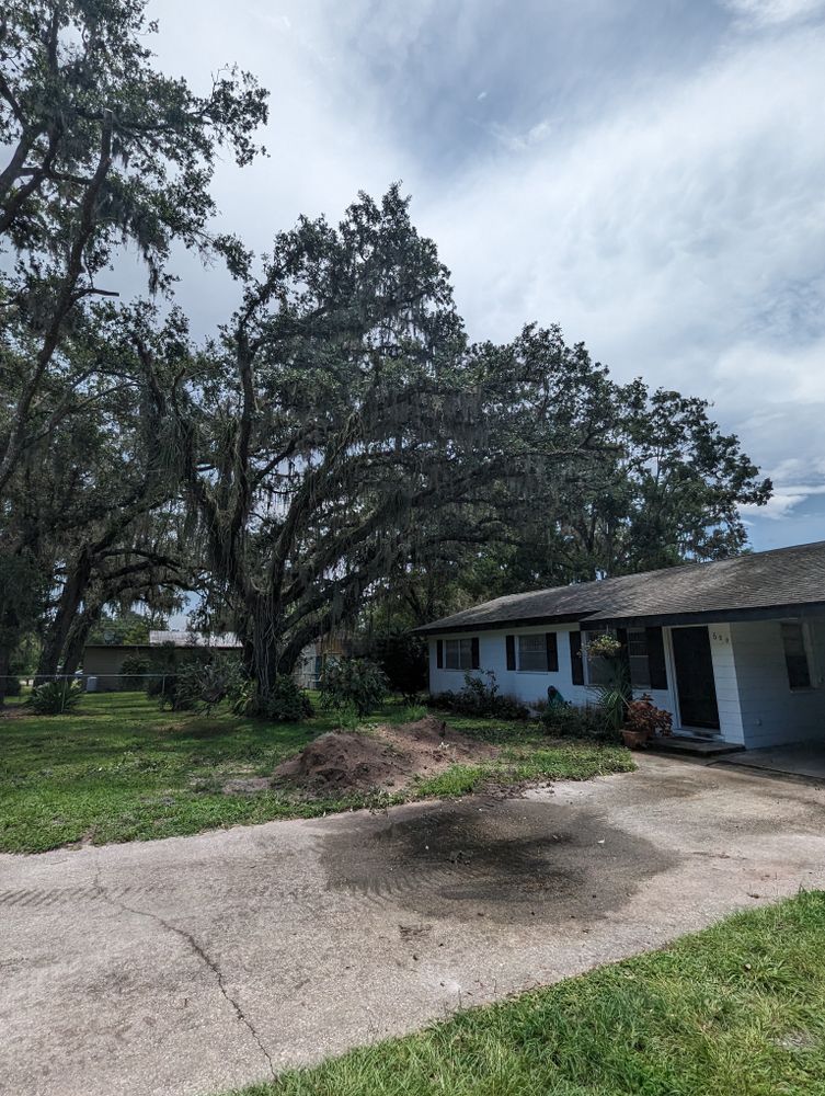 All Photos for Regal Tree Service and Stump Grinding in Wauchula, FL