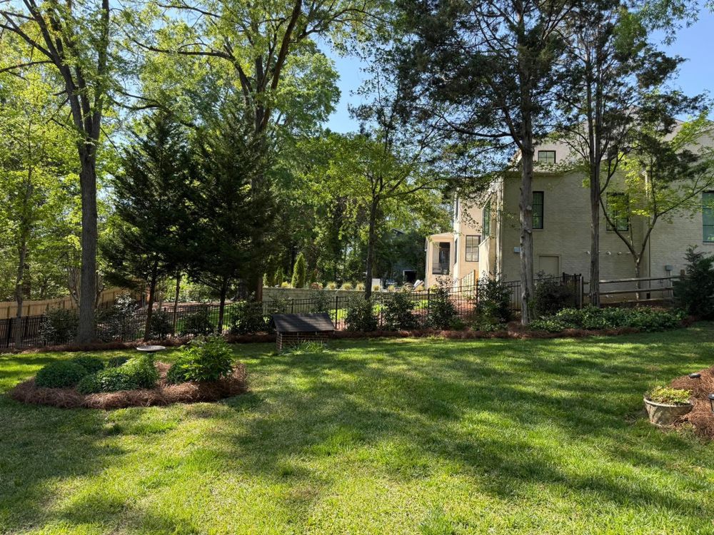 All Photos for Blue Sky Turf in Monroe, NC