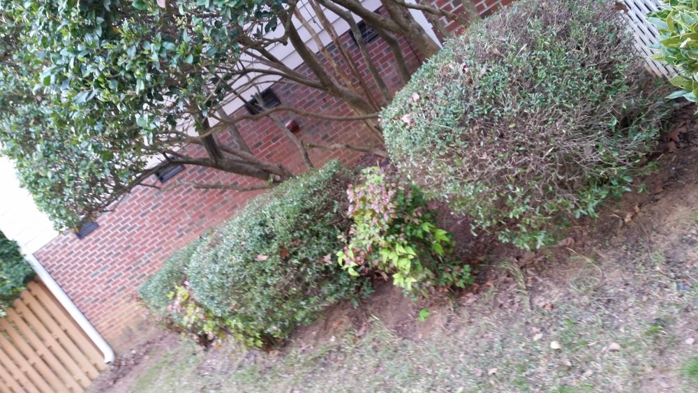 All Photos for Mancinas Home Improvement, Landscaping, & Lawn Care in Fayetteville, NC