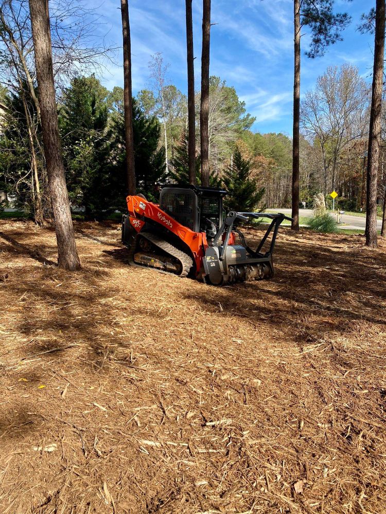 All Photos for Southern Land Solutions Forestry Mulching, LLC in Cleveland, NC