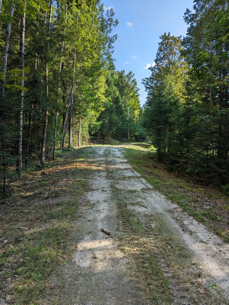 Brush Mowing And Forestry Mulching for Krahn Excavation in Oxford County, ME